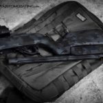 backpack 22, 22 lr, ruger 10/22 takedown, vanquest gear